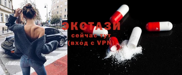 ECSTASY Богданович
