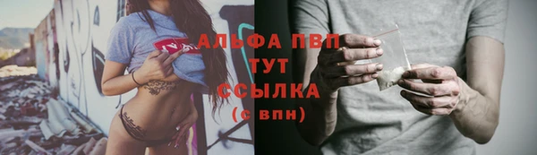 ECSTASY Богданович