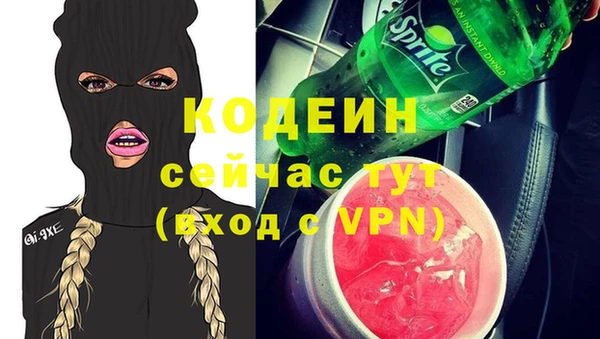 ECSTASY Богданович