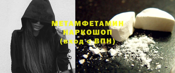 ECSTASY Богданович