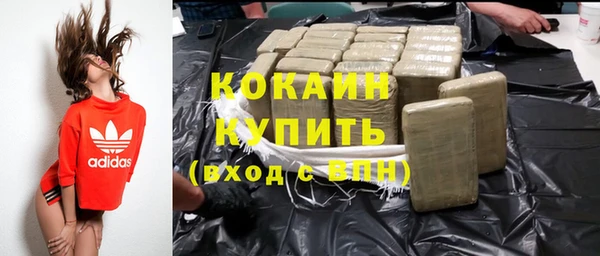 ECSTASY Богданович